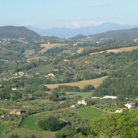 Agriturismo Poggio Della Rosa アメリア エクステリア 写真
