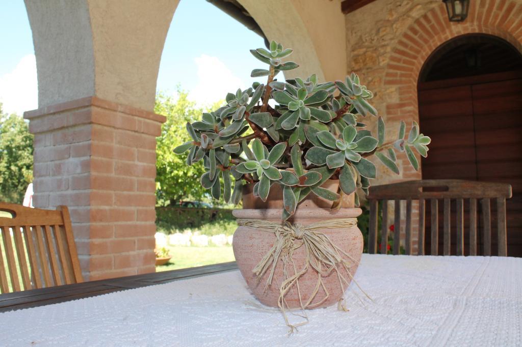 Agriturismo Poggio Della Rosa アメリア エクステリア 写真